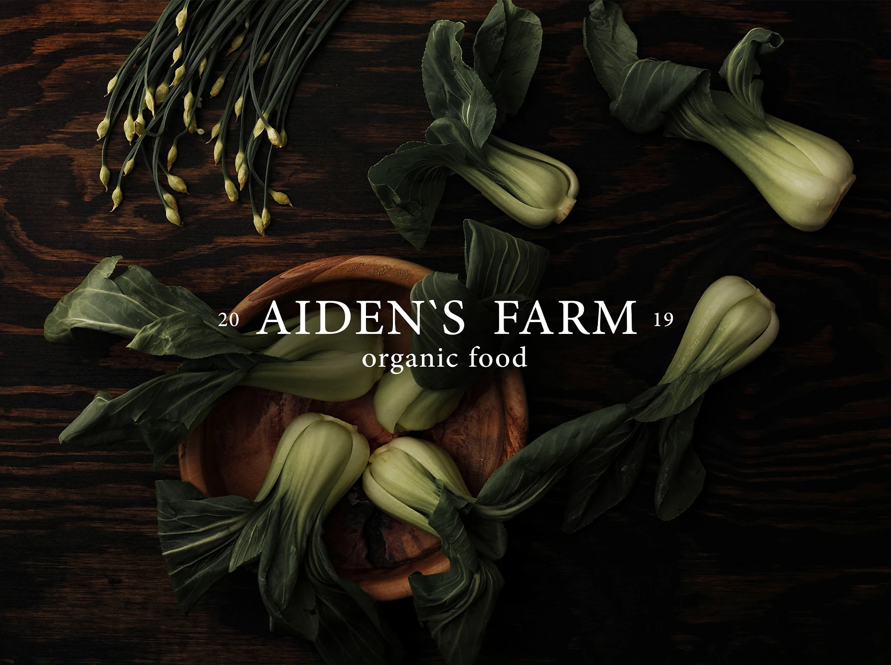 Aiden's Farm | Brand Identity